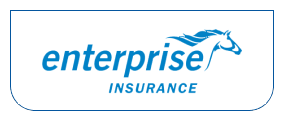 Enterprise Insurance